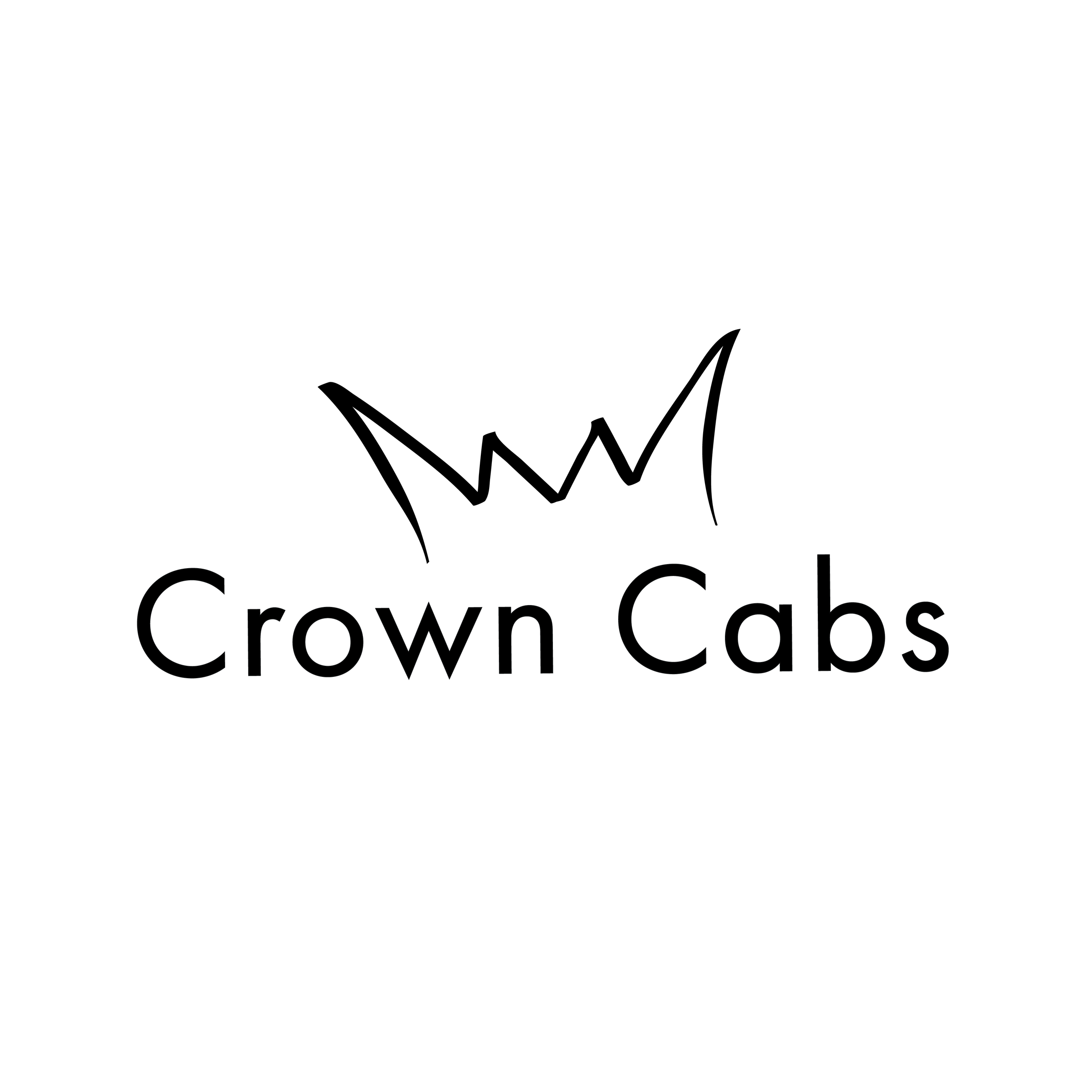 app logo